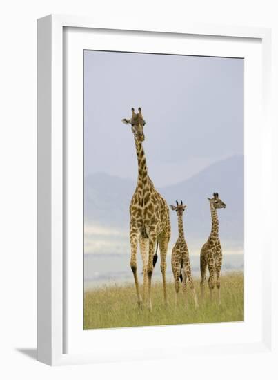 Savannah Strut-Susann Parker-Framed Photographic Print