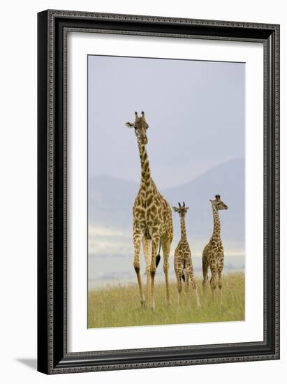 Savannah Strut-Susann Parker-Framed Photographic Print