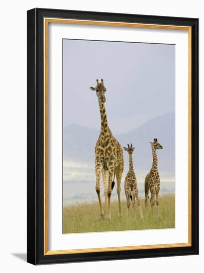 Savannah Strut-Susann Parker-Framed Photographic Print