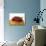 Savarin with Assorted Berries-null-Photographic Print displayed on a wall