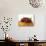 Savarin with Assorted Berries-null-Photographic Print displayed on a wall