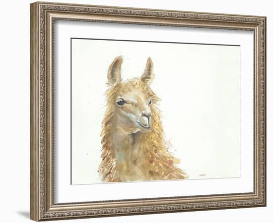 Save the Drama for your Llama-Patti Mann-Framed Art Print