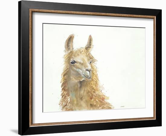 Save the Drama for your Llama-Patti Mann-Framed Art Print