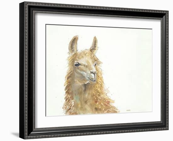 Save the Drama for your Llama-Patti Mann-Framed Art Print