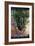 Save the Rainforest-Harro Maass-Framed Giclee Print