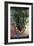 Save the Rainforest-Harro Maass-Framed Giclee Print