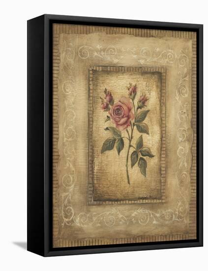 Savin Rose-Kimberly Poloson-Framed Stretched Canvas