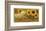 Savon Helianthis d'Or-null-Framed Art Print