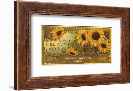 Savon Helianthis d'Or--Framed Art Print