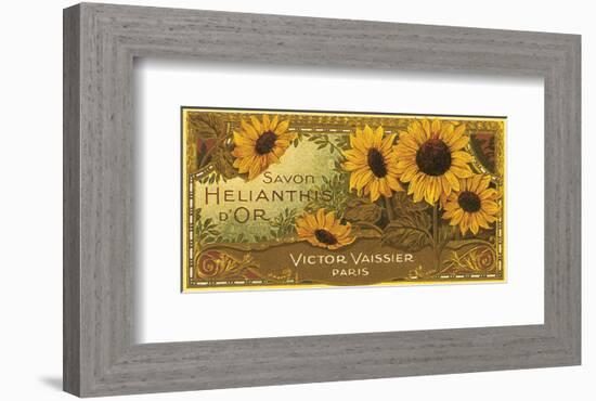 Savon Helianthis d'Or-null-Framed Art Print