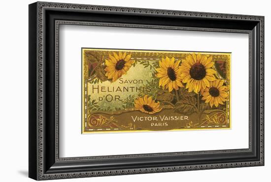 Savon Helianthis d'Or--Framed Art Print