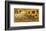 Savon Helianthis d'Or-null-Framed Art Print