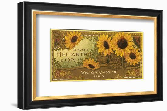 Savon Helianthis d'Or-null-Framed Art Print