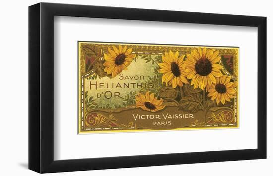 Savon Helianthis d'Or-null-Framed Art Print