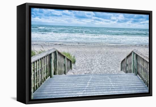 Savor the Seas-Mary Lou Johnson-Framed Stretched Canvas