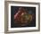 Savory Peppers-Barbara Keith-Framed Giclee Print