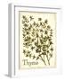 Savory Thyme-The Saturday Evening Post-Framed Giclee Print