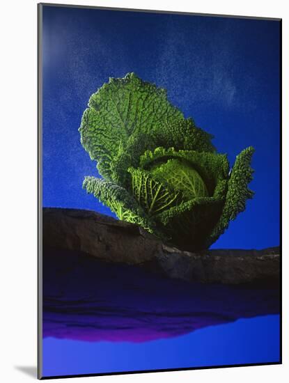 Savoy, 1993-Norman Hollands-Mounted Photographic Print