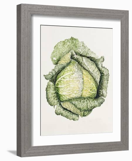 Savoy Cabbage-Alison Cooper-Framed Giclee Print