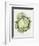 Savoy Cabbage-Alison Cooper-Framed Giclee Print