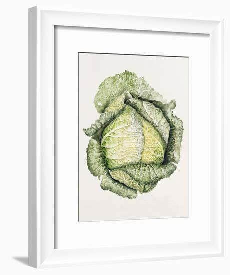 Savoy Cabbage-Alison Cooper-Framed Giclee Print