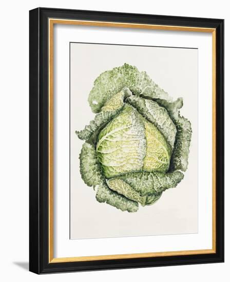 Savoy Cabbage-Alison Cooper-Framed Giclee Print