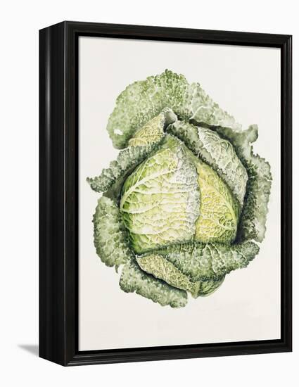 Savoy Cabbage-Alison Cooper-Framed Premier Image Canvas