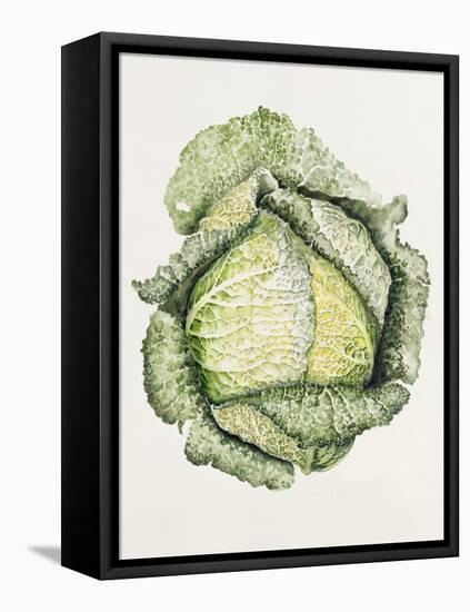 Savoy Cabbage-Alison Cooper-Framed Premier Image Canvas