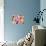Savvy Cat-Natasha Wescoat-Giclee Print displayed on a wall
