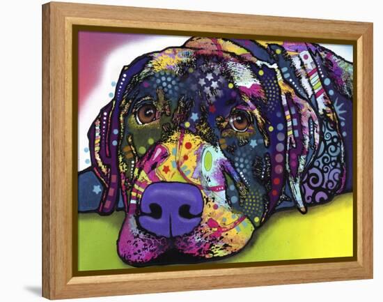 Savvy Labrador-Dean Russo-Framed Premier Image Canvas