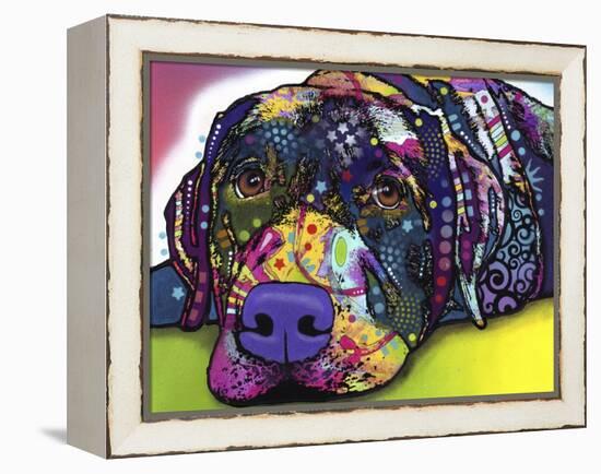 Savvy Labrador-Dean Russo-Framed Premier Image Canvas