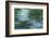 Sawgrass Lake-Margaret Juul-Framed Giclee Print