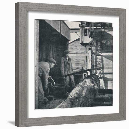 'Sawing timber', 1941-Cecil Beaton-Framed Photographic Print