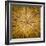 Sawn log showing growth rings (Dendrochronology)-Panoramic Images-Framed Premium Photographic Print