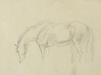 A Horse Grazing-Sawrey Gilpin-Giclee Print