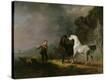 Stretched Canvas Print