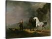 Stretched Canvas Print