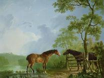 Mare and Stallion in a Landscape-Sawrey Gilpin-Giclee Print