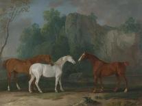 Mare and Stallion in a Landscape-Sawrey Gilpin-Giclee Print