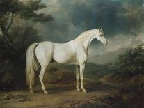 White Horse in a Wooded Landscape, 1791-Sawrey Gilpin-Framed Giclee Print