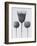 Sawwort-Karl Blossfeldt-Framed Art Print