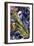 Sax Essence-Gil Mayers-Framed Giclee Print