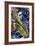 Sax Essence-Gil Mayers-Framed Giclee Print