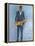 Sax in a Blue Suit-Samuel Dixon-Framed Stretched Canvas