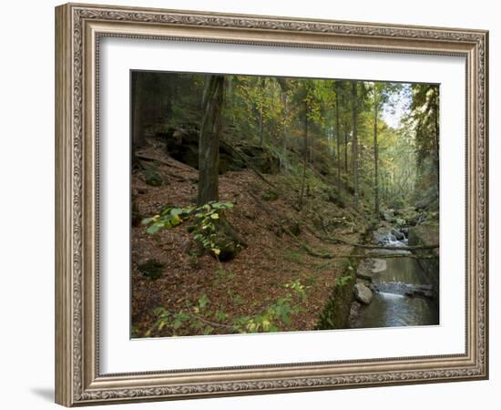 Saxon-Switzerland National Park, Saxony, Germany, Europe-Michael Snell-Framed Photographic Print