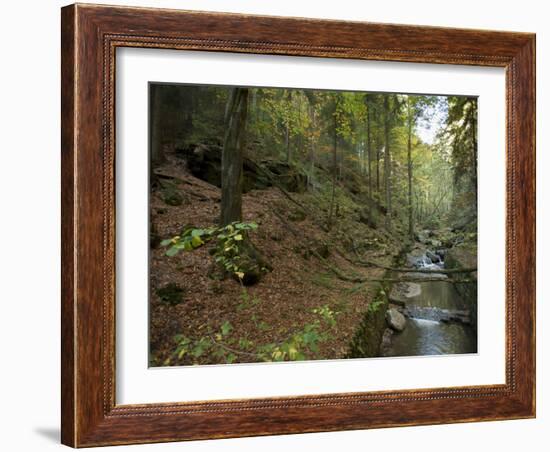 Saxon-Switzerland National Park, Saxony, Germany, Europe-Michael Snell-Framed Photographic Print