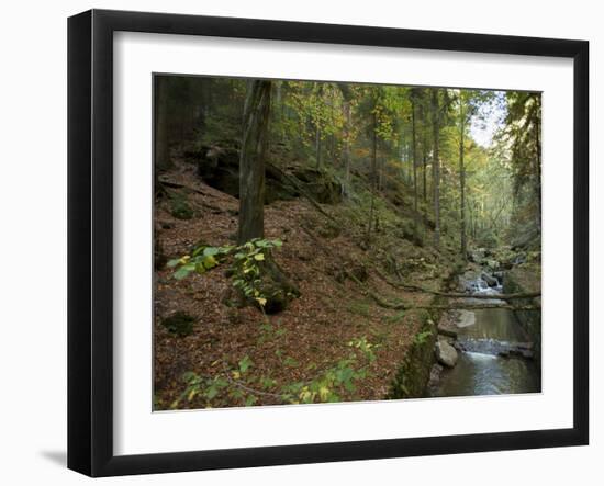 Saxon-Switzerland National Park, Saxony, Germany, Europe-Michael Snell-Framed Photographic Print