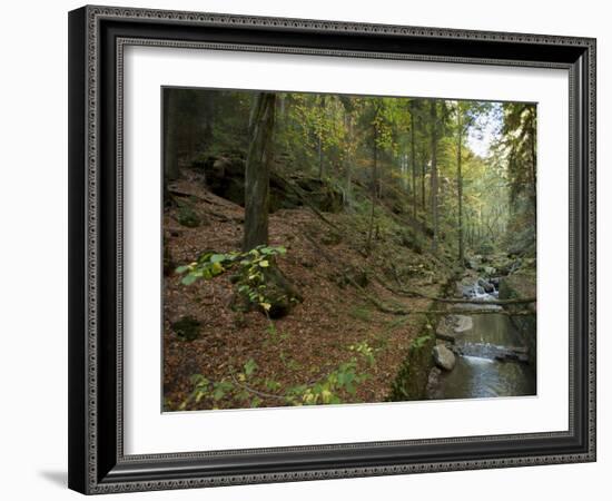 Saxon-Switzerland National Park, Saxony, Germany, Europe-Michael Snell-Framed Photographic Print