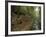 Saxon-Switzerland National Park, Saxony, Germany, Europe-Michael Snell-Framed Photographic Print