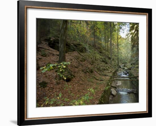 Saxon-Switzerland National Park, Saxony, Germany, Europe-Michael Snell-Framed Photographic Print